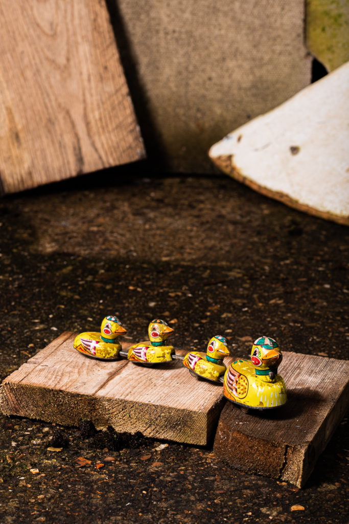 Chinese Tin Duck Family